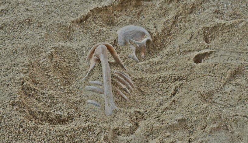 Wellness hotel Vista Dolní Morava